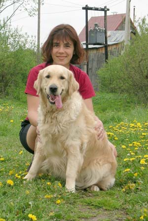 Golden retriever Yardie
