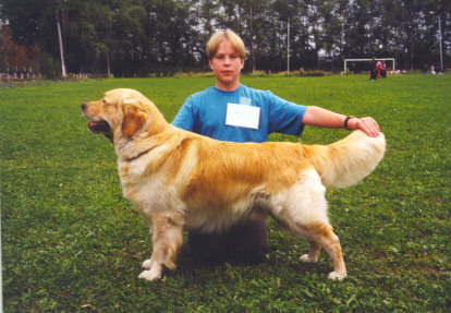 Russian discount lab dog