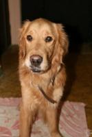 post-8456-0-22713500-1297109802_thumb.jp