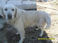 post-38495-0-66668600-1426755378_thumb.j