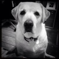 post-36118-0-05941800-1397484624_thumb.j