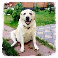 post-36118-0-47639400-1397484617_thumb.j