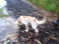 post-38628-0-09806400-1413948370_thumb.j