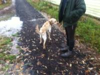 post-38628-0-12560700-1413948381_thumb.j