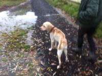 post-38628-0-37319200-1413948356_thumb.j