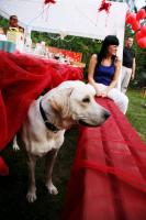 post-34051-0-34792900-1386102198_thumb.j