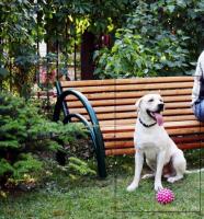 post-34051-0-90011100-1386102183_thumb.j