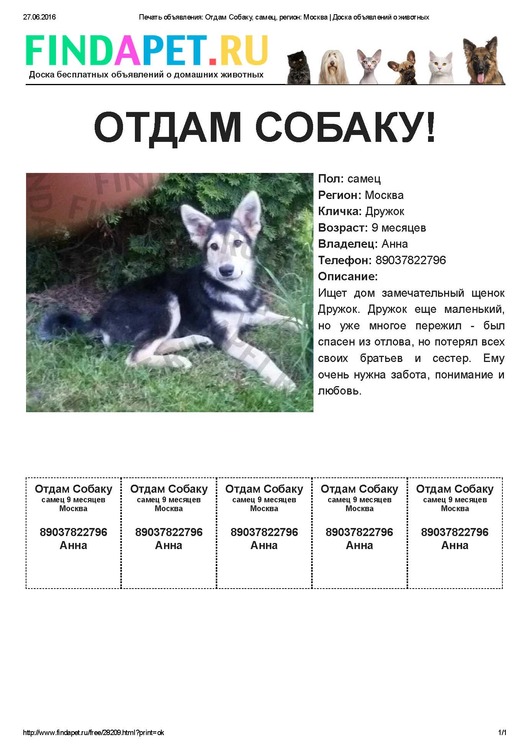 Печать объявления_ Отдам Собаку, самец, регион_ Москва _ Доска объявлений о животных.jpg