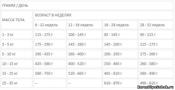 Схема кормления щенка по месяцам йорка