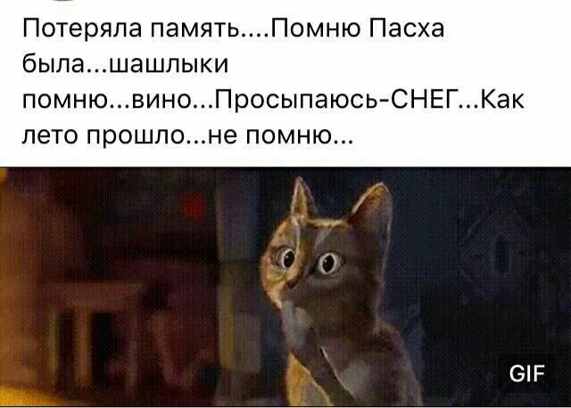 C__Data_Users_DefApps_AppData_INTERNETEXPLORER_Temp_Saved Images_18301455_1405988842793613_3960473444101352127_n.jpg