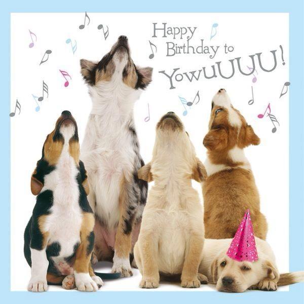 dog-birthday-card-top-25-best-happy-birthday-dog-meme-ideas-on-pinterest-birthday-template.jpg.c7fb5eb39951244d08617b92fa2a5095.jpg