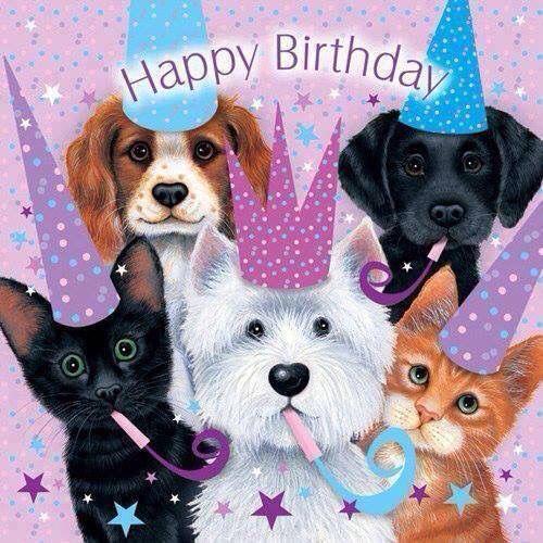 274742-Adorable-Happy-Birthday-Quote-With-Pets.jpg.a4b065f395912e96aca324d344c9e797.jpg