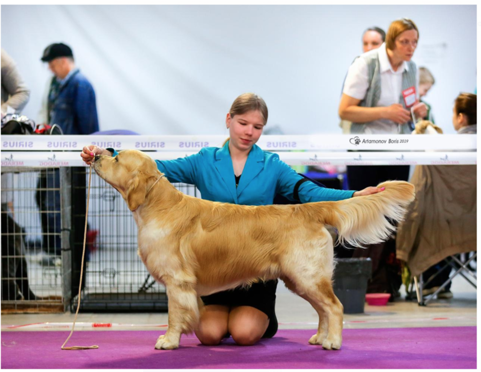 Снимок экрана 2019-05-14 в 18.11.05.png