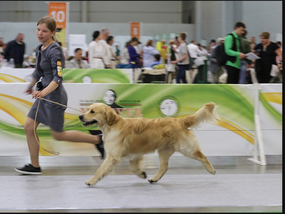 Снимок экрана 2019-05-29 в 20.15.57.png