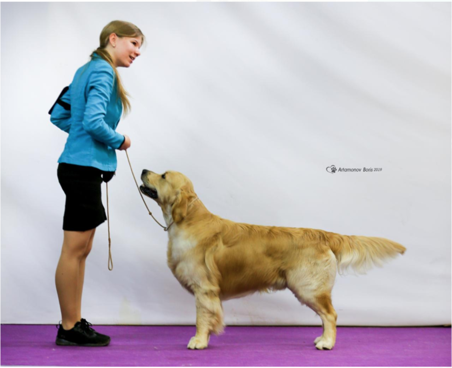 Снимок экрана 2019-05-14 в 19.48.31.png