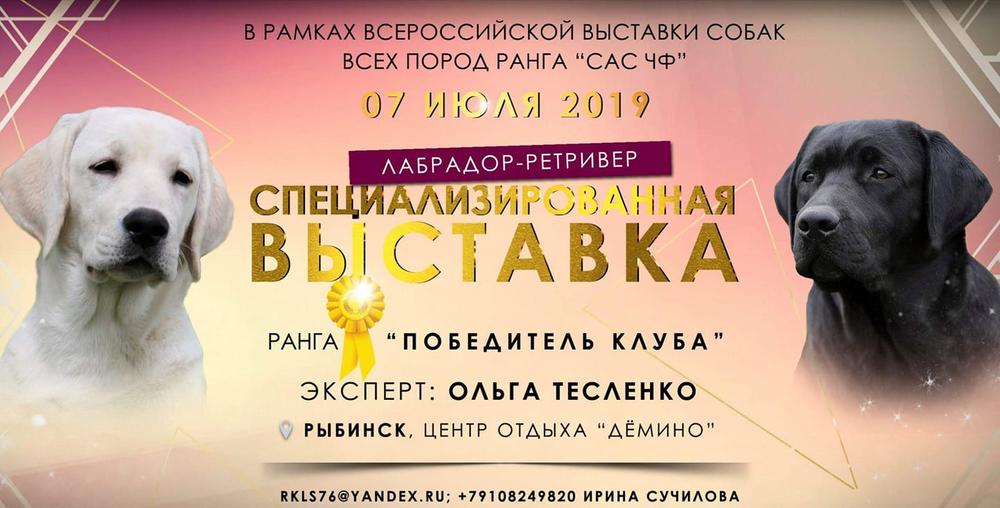 Выставка собак 29 апреля 2024