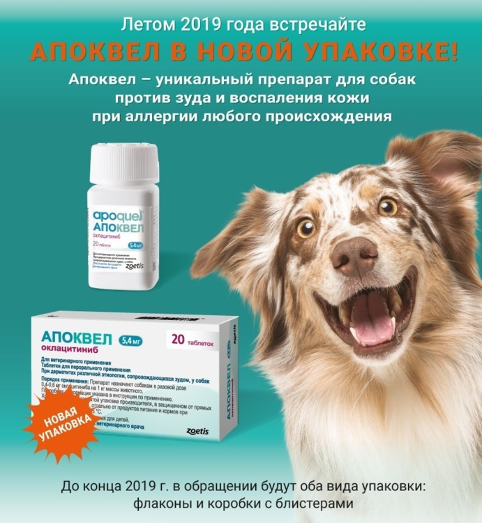 Апоквел 3 6 мг. Апоквел для собак мазь. Таблетки Апоквел для собак. Таблетки для собак от зуда Апоквел. Зоэтис Апоквел.