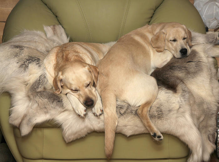 C__Data_Users_DefApps_AppData_INTERNETEXPLORER_Temp_Saved Images_21345418veE.jpg