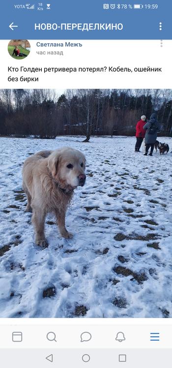 Screenshot_20200316_195938_com.vkontakte.android.jpg.20e9c13b708c03f68a1683abd8a7ec9a.jpg