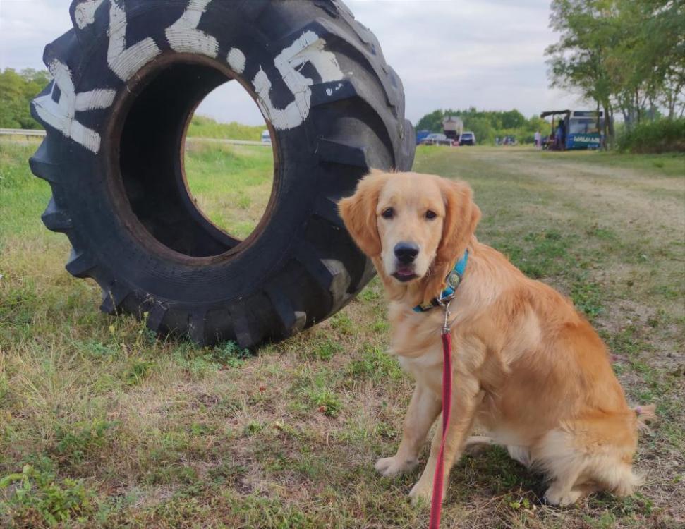 IMG_20200904_160225 (2).jpg