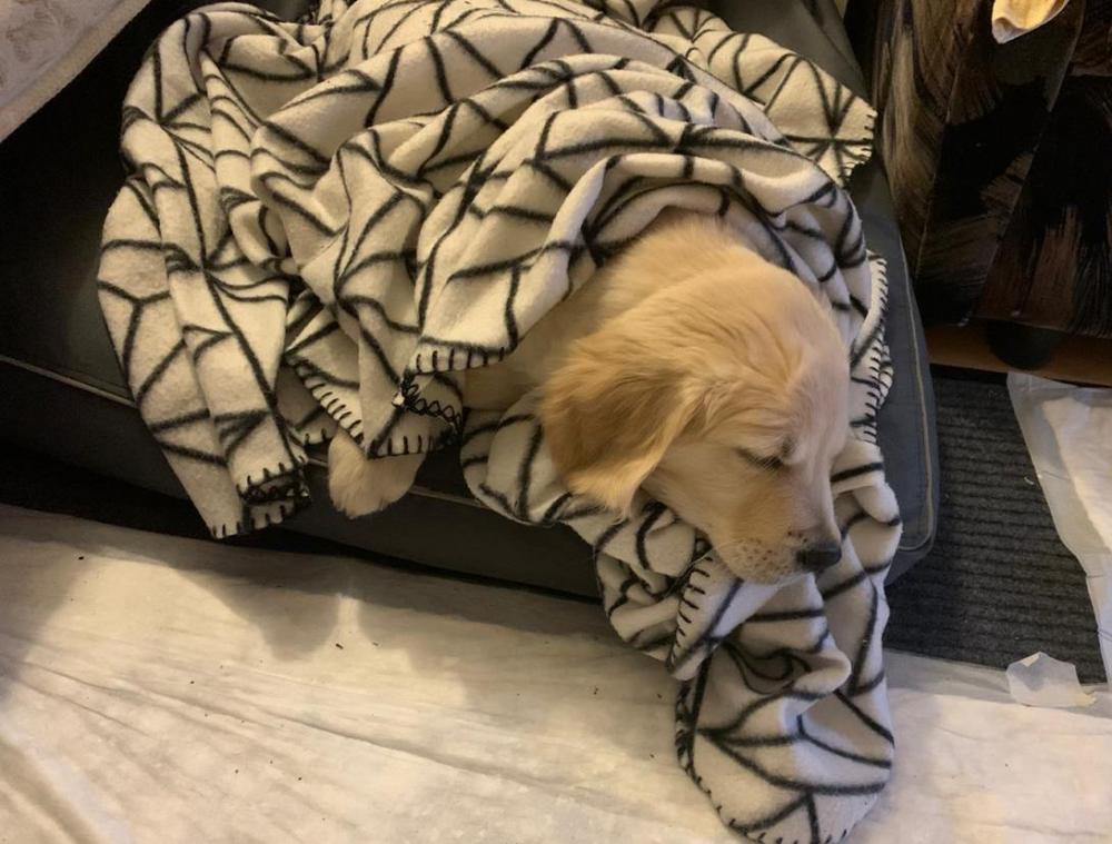 на лежанк.JPG