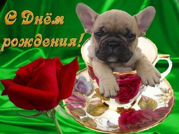 s-dnem-rozhdeniya-kartinki-krasivye-61.jpg.2d2d3ef93e34136bf646e9a6127a9071.jpg