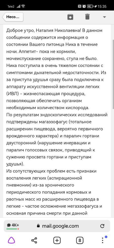 Screenshot_20220221_153540_com.yandex.browser.jpg.3137d5b92558fd28c780a95c9b5036d0.jpg