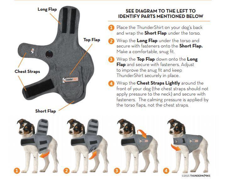 815254233_ThunderShirtDogFittingInstructions.jpg.f06c5562bbb4d807bdf1b16f475867a5.jpg