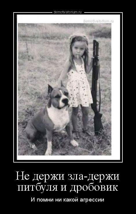 demotivatorium_ru_ne_derji_zladerji_pitbulja_i_drobovik_120257.jpg.fb93aadcb17b3a23282a5b178ae6b341.jpg