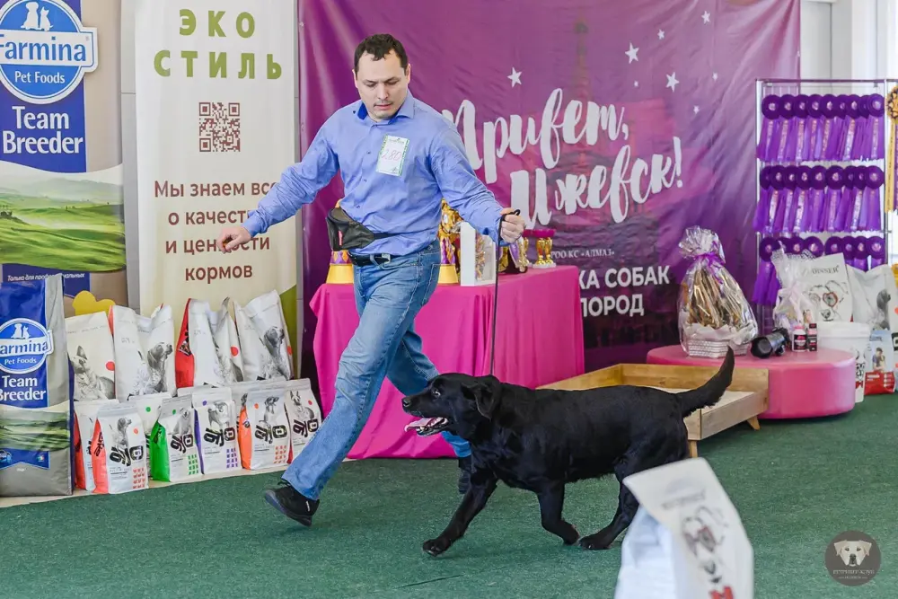 лвп ветеран.JPG