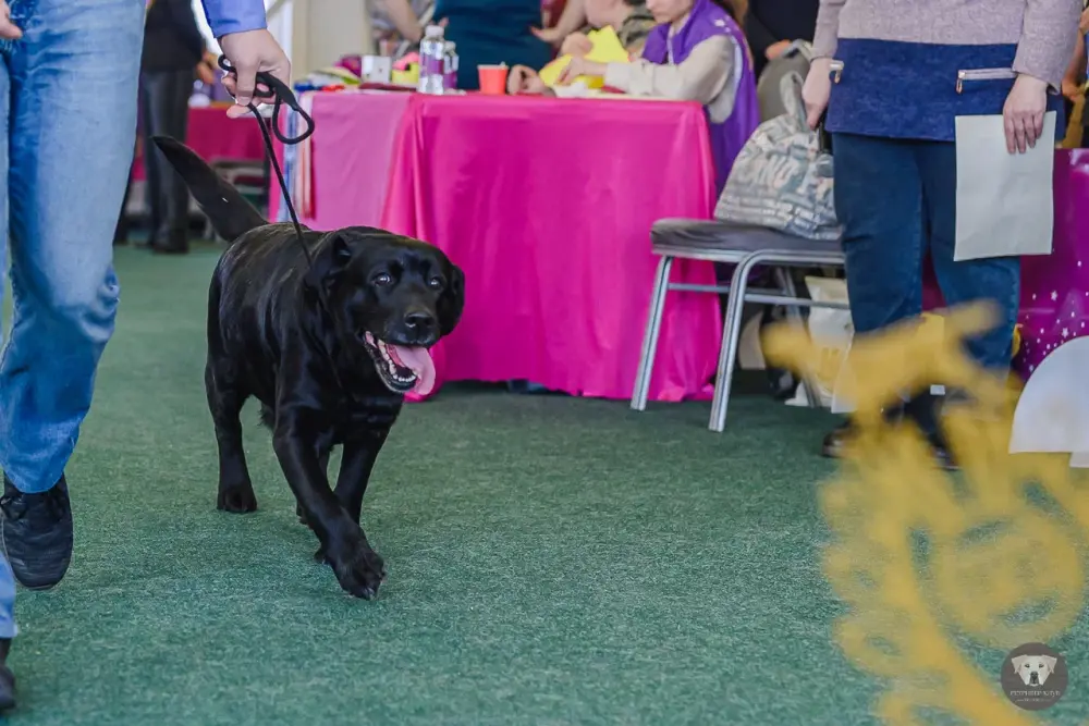 лвп ветеран1.JPG