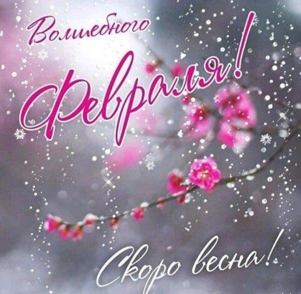 volshebnogo-fevralya-skoro-vesna.jpg.93d85ab0d829182a2a91486ac68c467c.jpg
