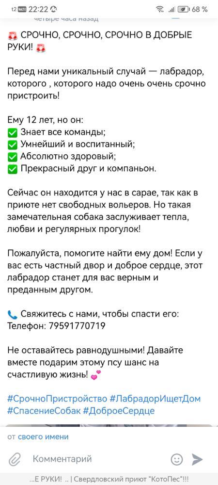 Screenshot_20250318_222244_com.yandex.browser.jpg.56eaff214c31aac6ab3d5a8e69ee4458.jpg