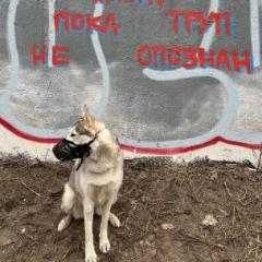 Норочка