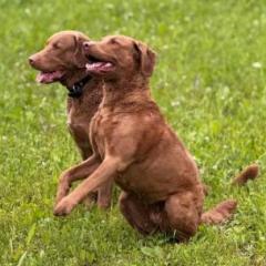 Марина и ТТ