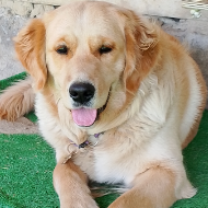 Людмила и Луна