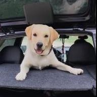 Елизавета Моисеева