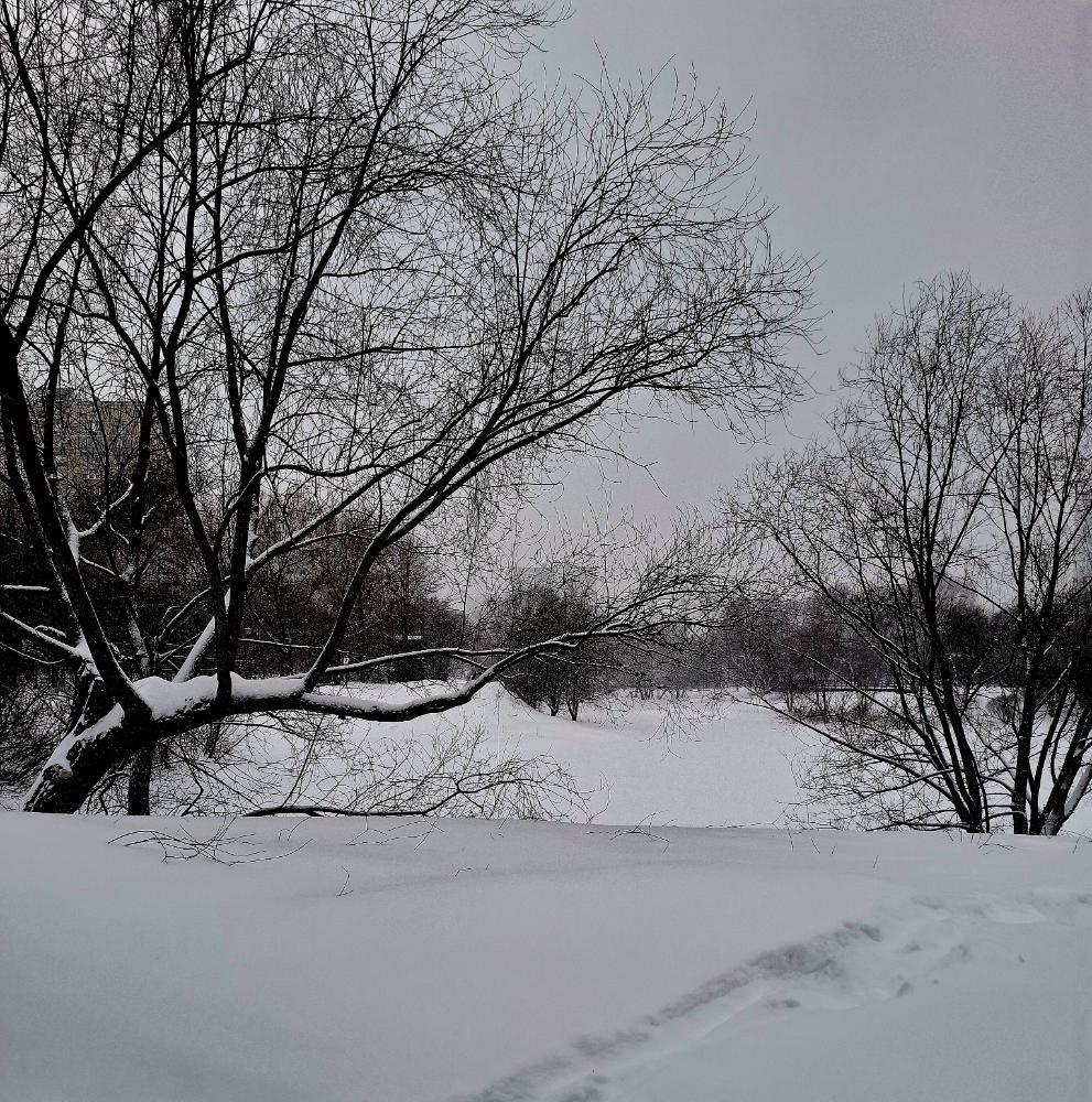 20260224_173445.jpg.5a7e7d9acd2f0b885f90db71795e3b4c.jpg