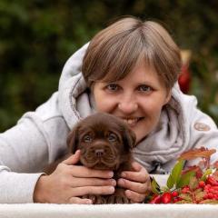 Черри Бренди