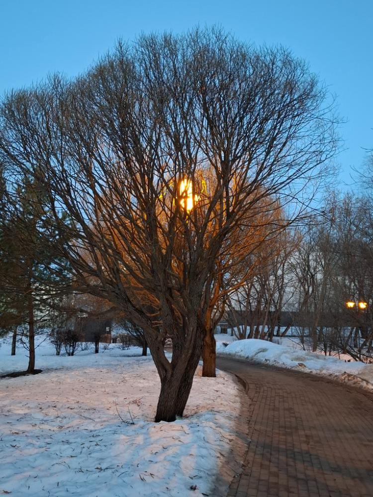 20260315_062621.jpg.fa2391e6f8f7a3ec996b99028634f767.jpg