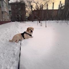 Аня Черкасова