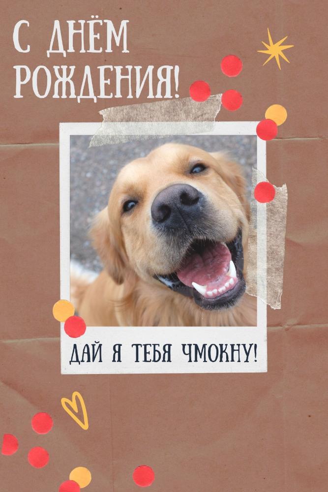 zabavnaya-otkrytka-zhenschine-na-den-rozhdeniya-s-sobakoy.jpg.03a4f6f18c53802b0056bf376c31e89e.jpg