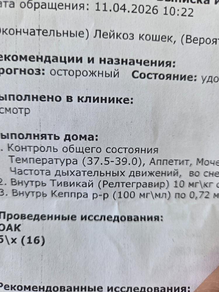 20260412_095112.jpg.7fe93f06855a3f6c94b1f8af2acdc858.jpg