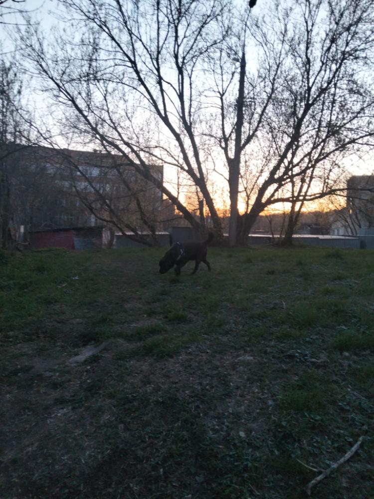 IMG20260422045239.jpg.3ae7229f8128945f1e993fe4fc2b0f74.jpg