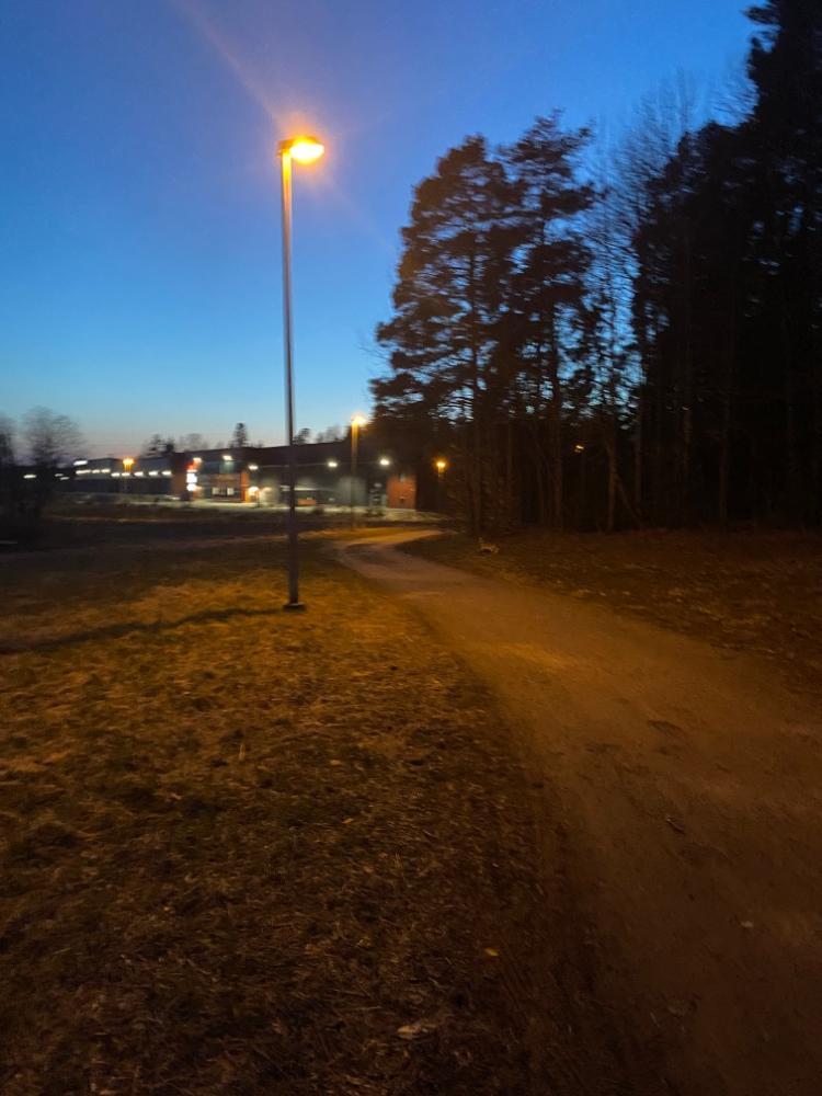 IMG_0443.jpeg.7ff637647ff45699e94ef5c3338f9e19.jpeg
