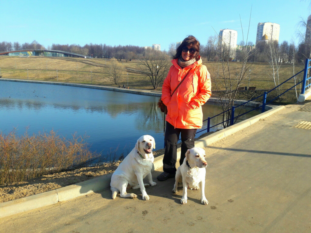 IMG_6622.png.be9b263041adf225a81121b93e41d062.png
