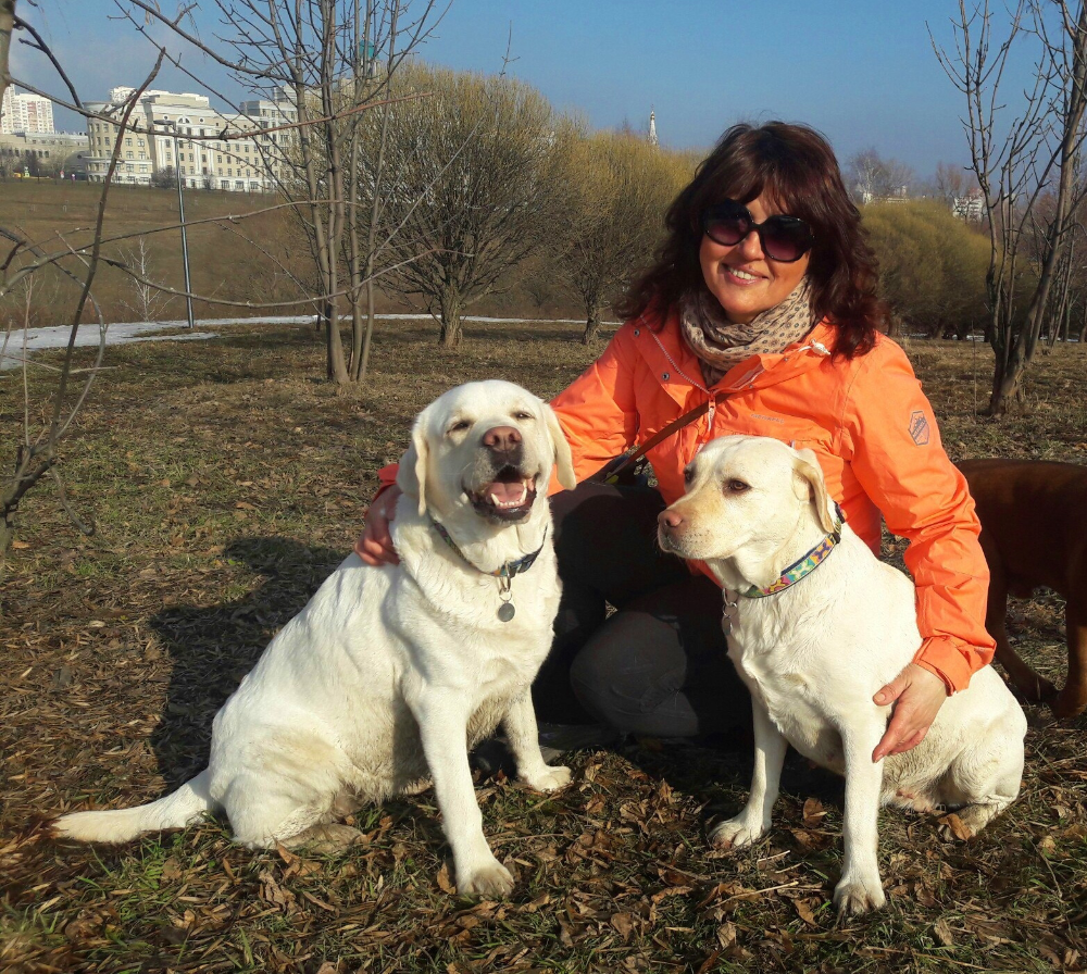 IMG_6625.png.5ba5e19abb881af435d91aac618ad77a.png
