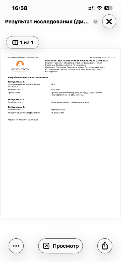 IMG_7384.png.b5c7ccadc32344b9626cf6ee3a3036a7.png