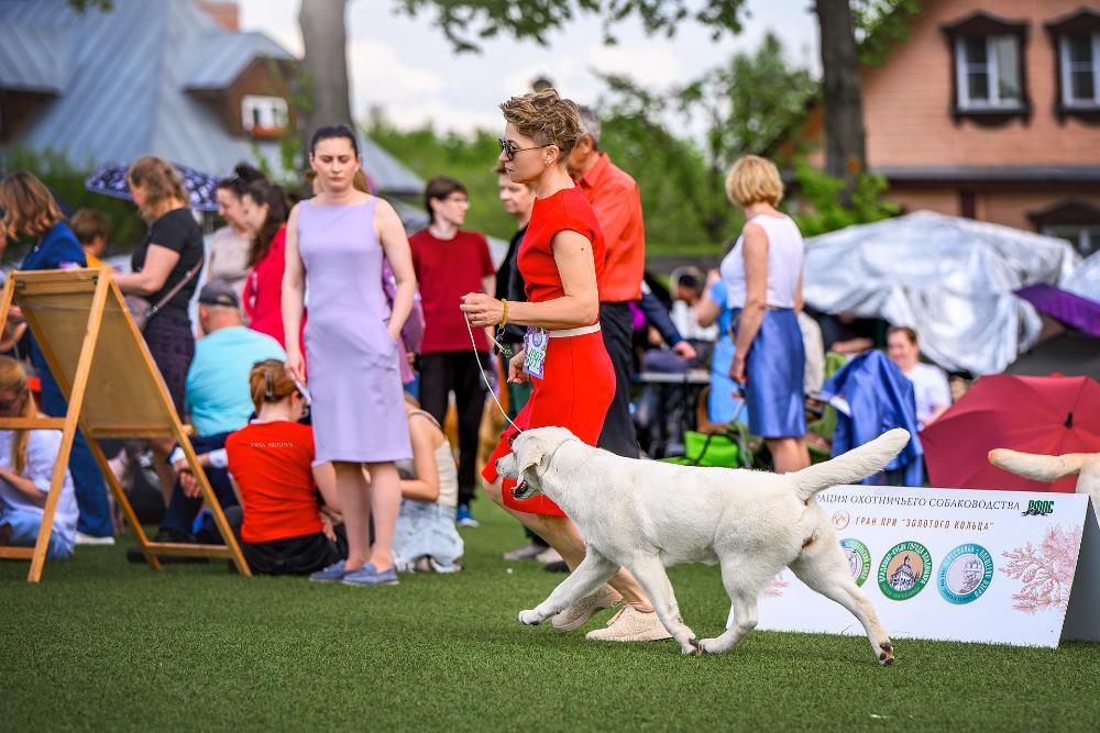 5321().jpg.a99cdf52dc0b821b615c1b528861e564.jpg