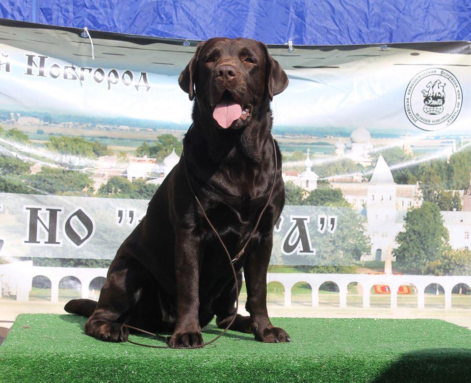 899613750_.jpg.a9194f3ee53fac4838b69d2b30696a37.jpg.427bb803e6258ed6f06ac4e24e9f33a0.jpg